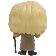 Load image into Gallery viewer, Funko Harry Potter Mad-Eye Moody Pop Figure w/Protector