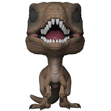 Load image into Gallery viewer, Funko Pop! Movies: Jurassic Park - Velociraptor Figure w/Protector