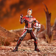 Load image into Gallery viewer, Avengers Marvel Legends Series 6-inch Ant-Man