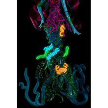 Load image into Gallery viewer, Monster High Great Scarrier Reef Down Under Ghouls POSEA REEF Doll NEW