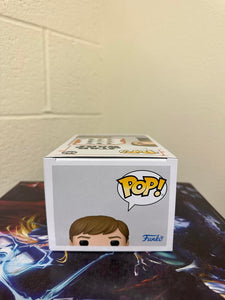 Funko POP! Star Wars: Mandalorian LUKE SKYWALKER with Grogu #482 w/ Protector